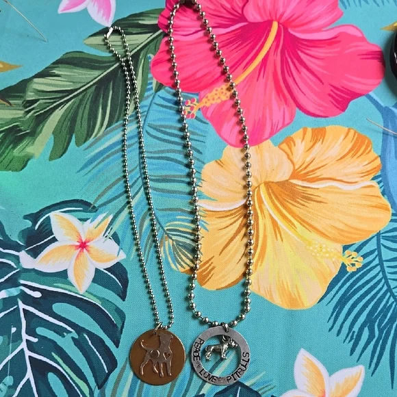 Pitbull Pendant Necklace Set - Picture 2 of 3